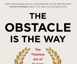 The Obstacle is the way
