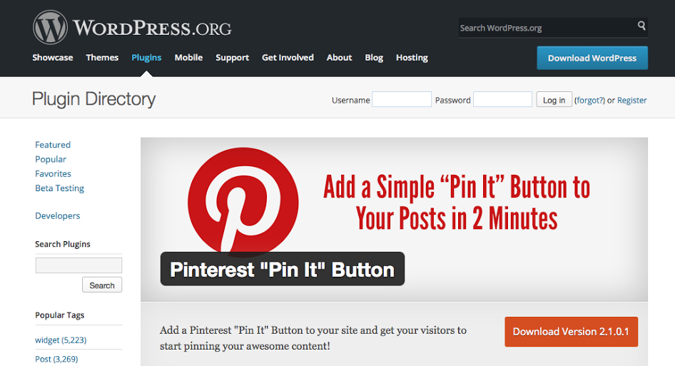 Wordpress plugin Pinterest tips