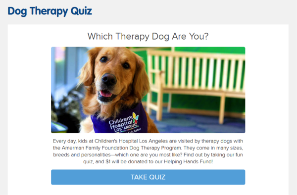 Dog Therapy example of how to use quizzes