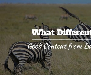 What Differentiates Good Content From Bad Content-