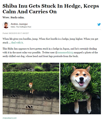 Huffington Post example of viral content