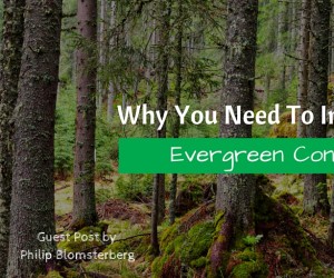 Why You Need To Invest in Evergreen Content