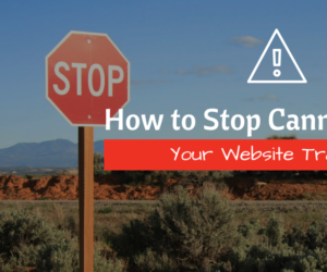 How to Stop Cannibalizing Your Website Traffic