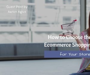 How to Choose the Best Ecommerce Shopping Cart for Your Store