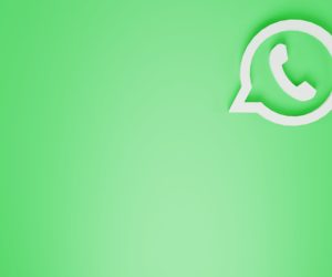 A Guide to the Best WhatsApp Marketing Tools